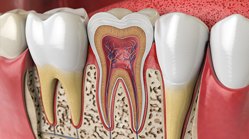 Root Canal’s Done, Now What? Let’s Talk About Recovery and Care